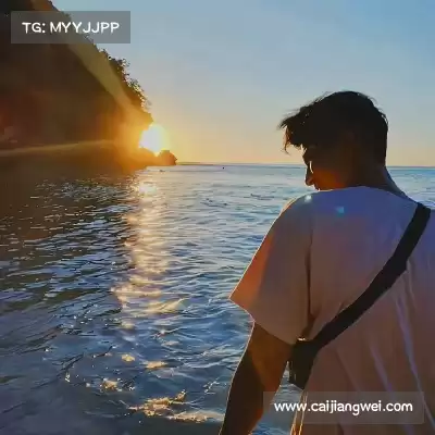 吴卓焘